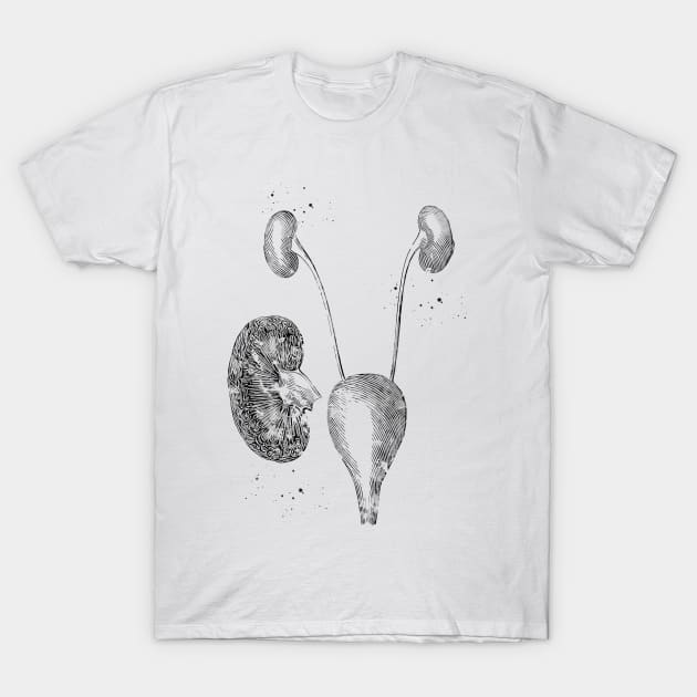 Urinary system T-Shirt by erzebeth